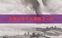 卡普尔是十大黑客之一吗