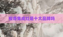 樱奇集成灶是十大品牌吗
