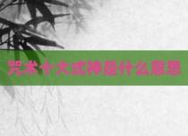 咒术十大式神是什么意思