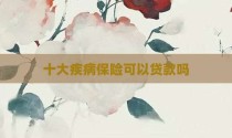 十大疾病保险可以贷款吗