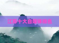 江苏十大自媒体排名