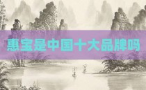 惠宝是中国十大品牌吗