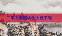 米力破壁机十大牌子吗