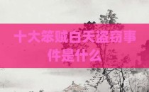 十大笨贼白天盗窃事件是什么