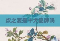 炊之源是十大品牌吗