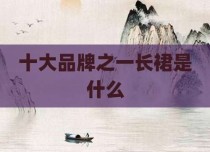 十大品牌之一长裙是什么
