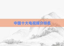 中国十大电视媒介排名