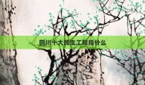 四川十大民生工程指什么