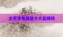 太平洋电缆是十大品牌吗