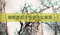 做梦梦见下雪是什么意思