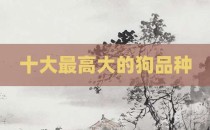 十大最高大的狗品种