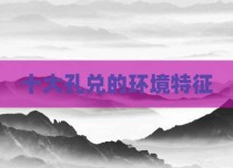十大孔兑的环境特征