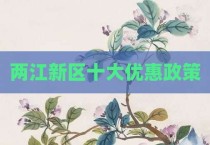 两江新区十大优惠政策