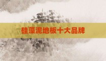 硅藻泥地板十大品牌