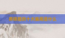 养锦鲤的十大骗局是什么