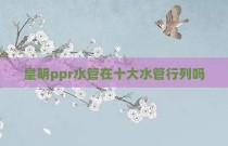 皇明ppr水管在十大水管行列吗