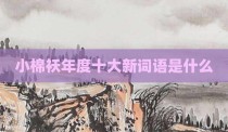 小棉袄年度十大新词语是什么