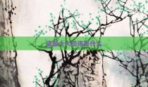 盗墓十大忌讳是什么