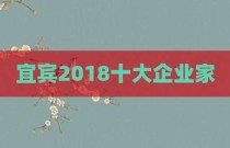 宜宾2018十大企业家