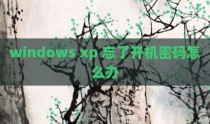 windows xp 忘了开机密码怎么办