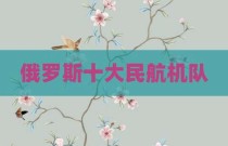 俄罗斯十大民航机队
