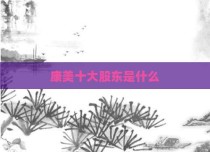 康美十大股东是什么