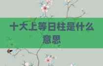 十大上等日柱是什么意思