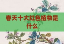 春天十大红色植物是什么
