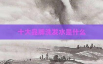 十大品牌洗发水是什么