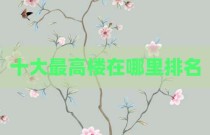 十大最高楼在哪里排名