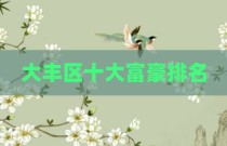 大丰区十大富豪排名