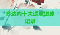 齐达内十大遗忘进球记录