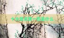 十大景点第一名是什么