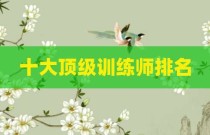 十大顶级训练师排名