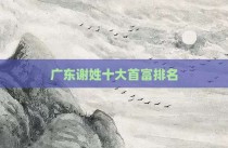 广东谢姓十大首富排名