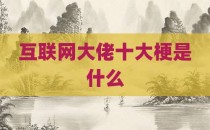互联网大佬十大梗是什么