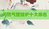 天然气壁挂炉十大排名