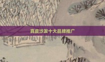 真皮沙发十大品牌推广