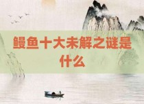 鳗鱼十大未解之谜是什么
