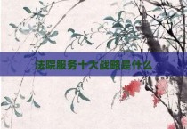法院服务十大战略是什么