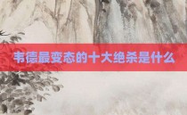 韦德最变态的十大绝杀是什么