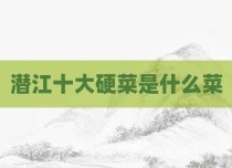 潜江十大硬菜是什么菜