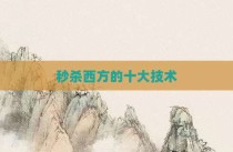 秒杀西方的十大技术
