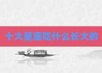 十大星座吃什么长大的