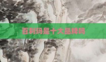 百利玛是十大品牌吗