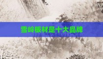 雪岭板材是十大品牌