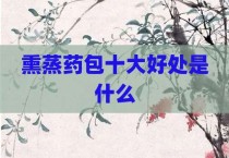 熏蒸药包十大好处是什么