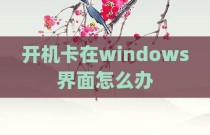 开机卡在windows界面怎么办
