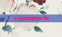十大游戏加速软件下载