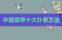 中国德甲十大扑救方法